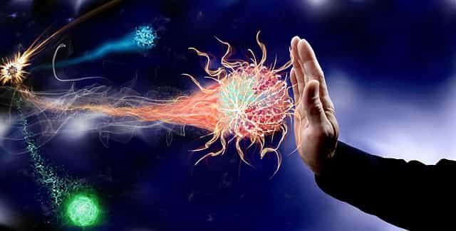 Immunity-immune-system