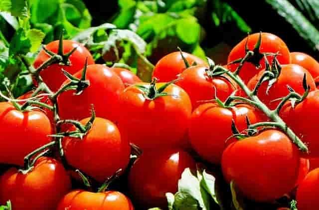 tomatoes benefits pasta recipe